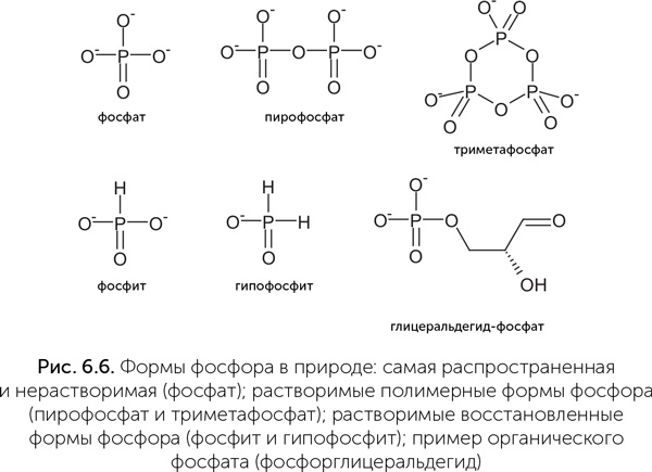 Происхождение жизни. От туманности до клетки