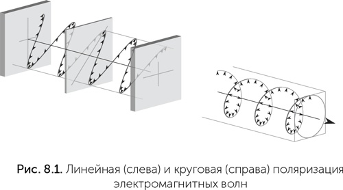 Происхождение жизни. От туманности до клетки