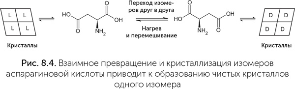 Происхождение жизни. От туманности до клетки