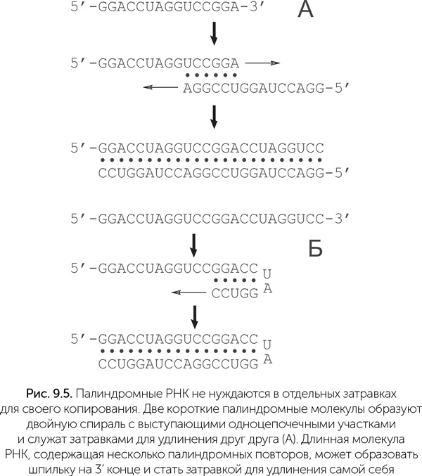 Происхождение жизни. От туманности до клетки