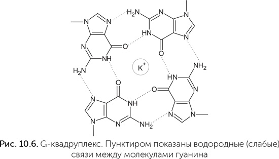 Происхождение жизни. От туманности до клетки