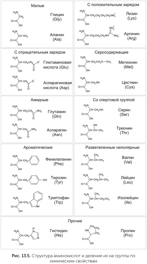 Происхождение жизни. От туманности до клетки