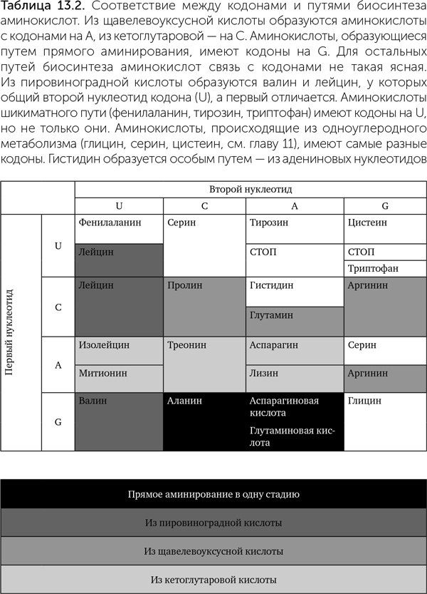 Происхождение жизни. От туманности до клетки