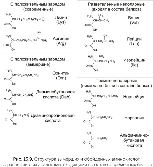 Происхождение жизни. От туманности до клетки