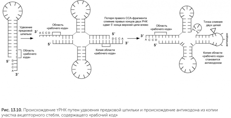 Происхождение жизни. От туманности до клетки