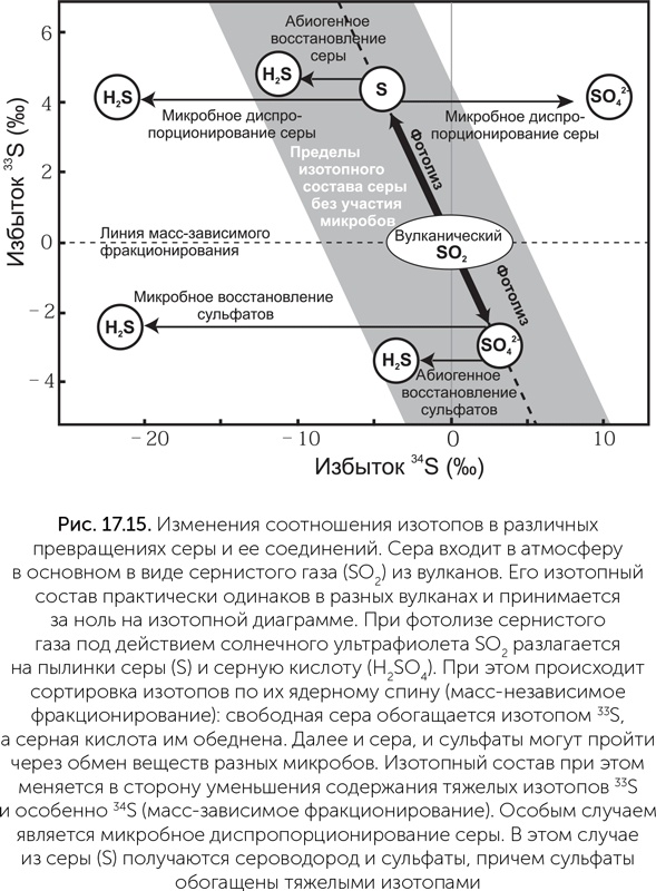 Происхождение жизни. От туманности до клетки