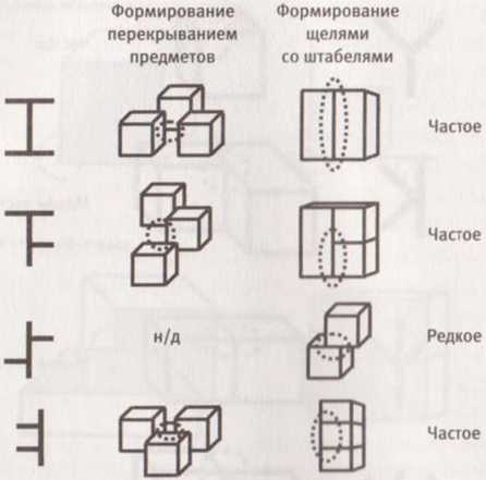 Революция в зрении. Что, как и почему мы видим на самом деле