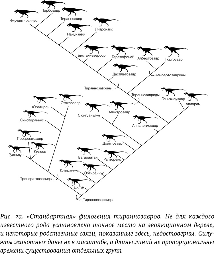 Хроники тираннозавра. Биология и эволюция самого известного хищника в мире