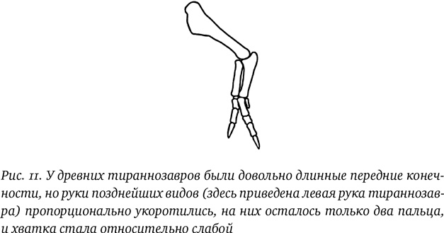 Хроники тираннозавра. Биология и эволюция самого известного хищника в мире