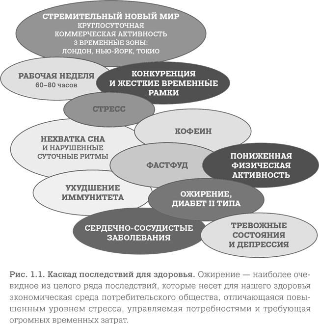 Мозг. Тонкая настройка. Наша жизнь с точки зрения нейронауки