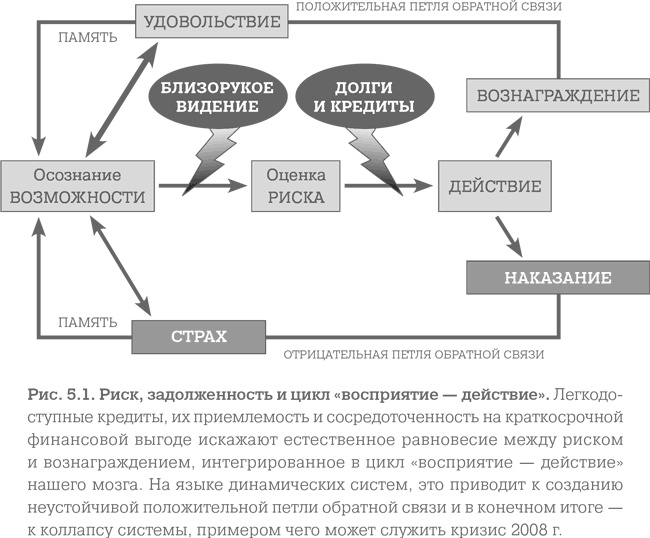 Мозг. Тонкая настройка. Наша жизнь с точки зрения нейронауки