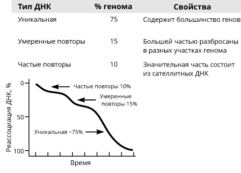 Геном человека: Энциклопедия, написанная четырьмя буквами