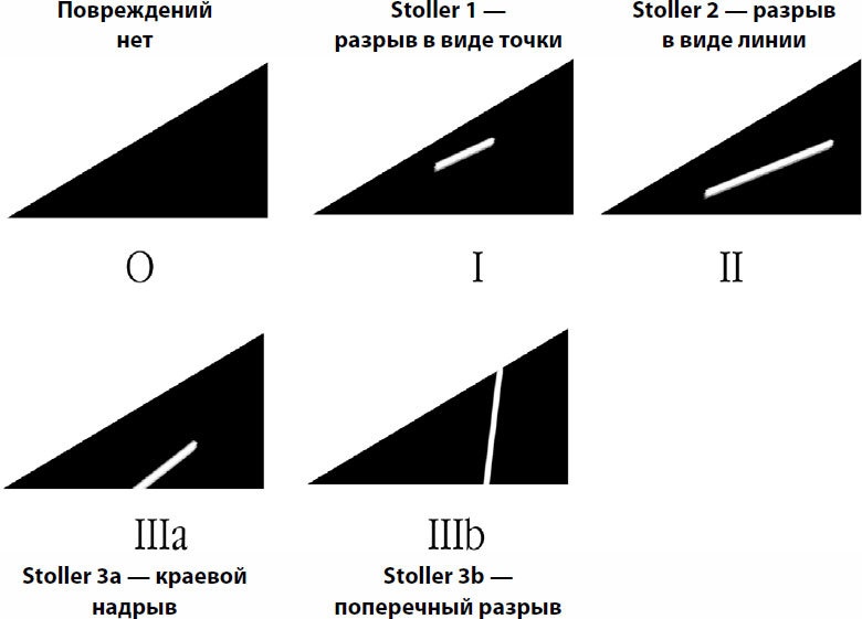 Пора лечиться правильно. Медицинская энциклопедия