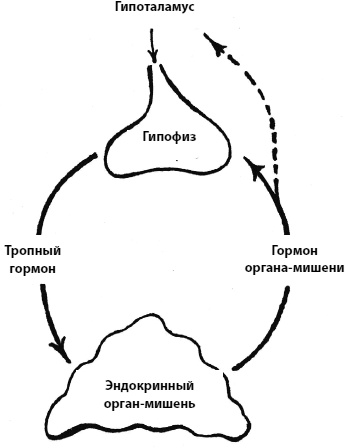 Пора лечиться правильно. Медицинская энциклопедия