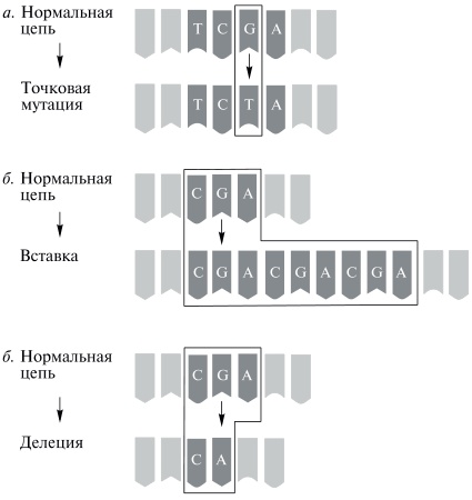 Мой неповторимый геном