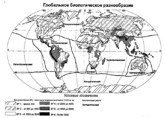 Основы геоэкологии