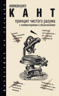 Книга Принцип чистого разума с комментариями и объяснениями