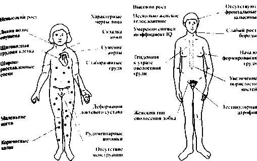 Тайны пола. Мужчина и женщина в зеркале эволюции