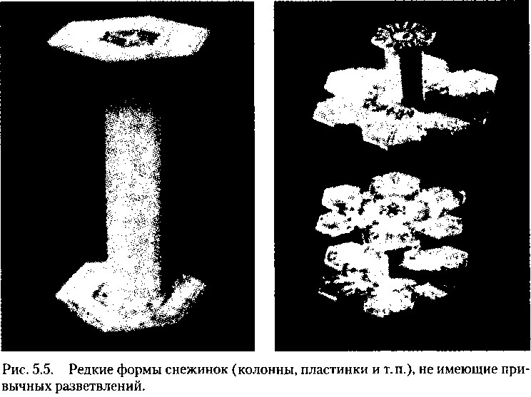 Критическая масса. Как одни явления порождают другие