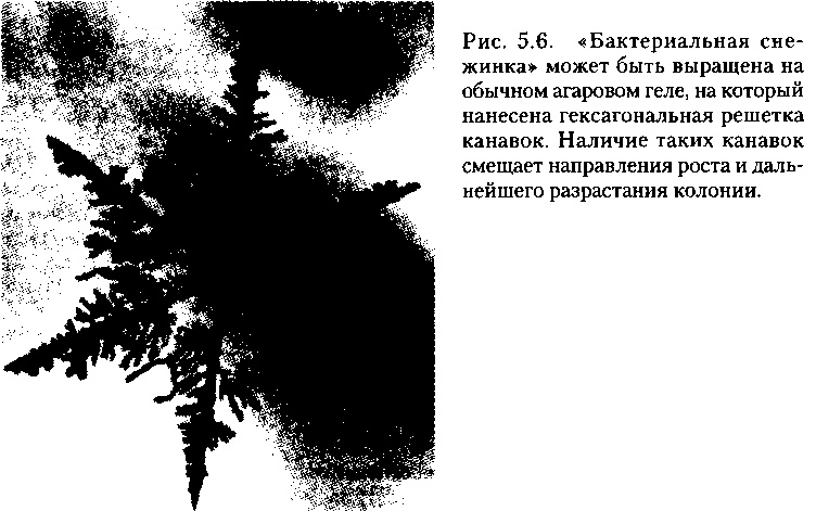 Критическая масса. Как одни явления порождают другие