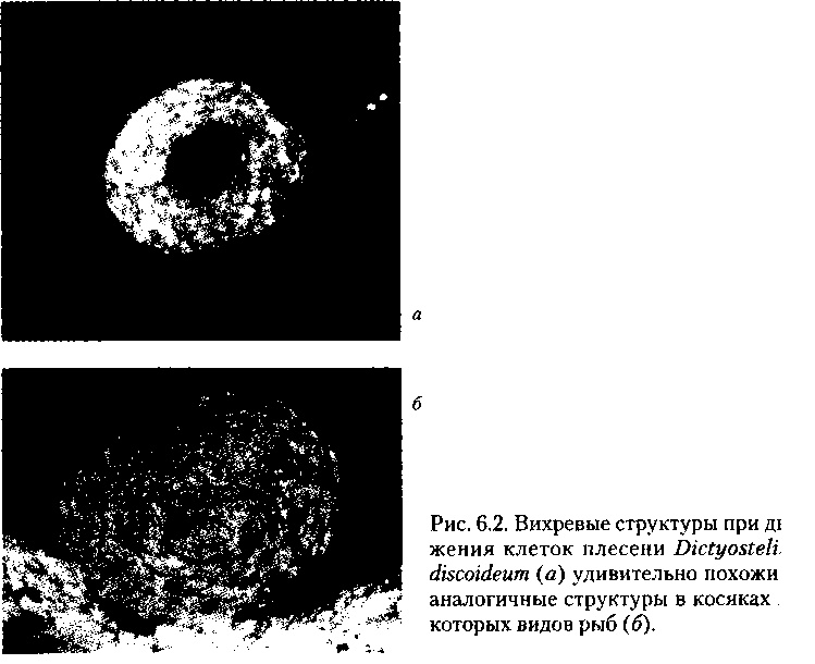 Критическая масса. Как одни явления порождают другие