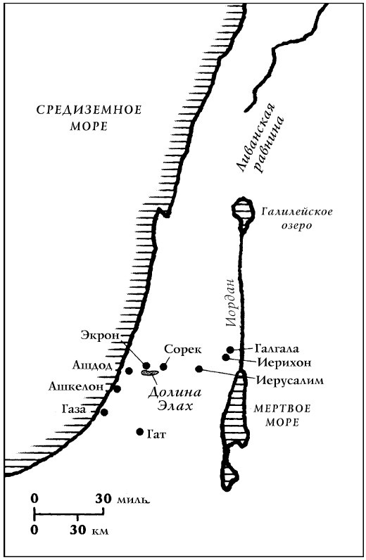 История Древнего мира. От истоков цивилизации до падения Рима