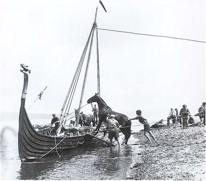 Викинги. Мореплаватели, пираты и воины