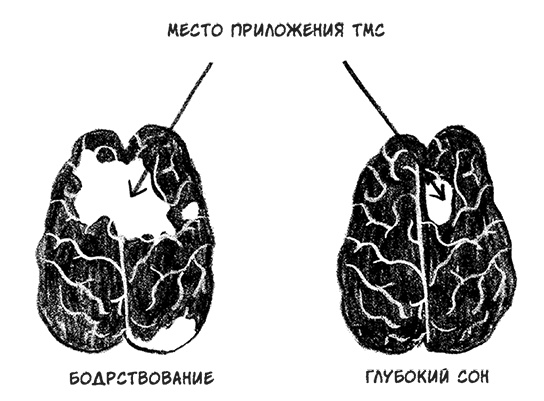 О том, чего мы не можем знать. Путешествие к рубежам знаний