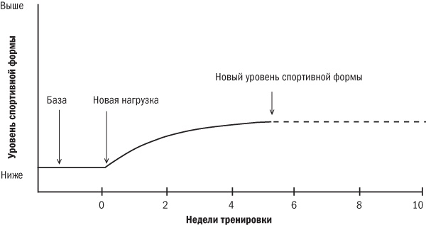 От 800 метров до марафона