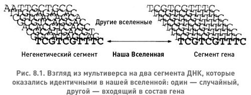 Структура реальности. Наука параллельных вселенных