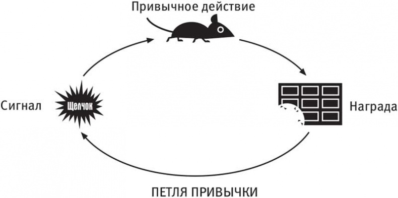 Власть привычки. Почему мы живем и работаем именно так, а не иначе