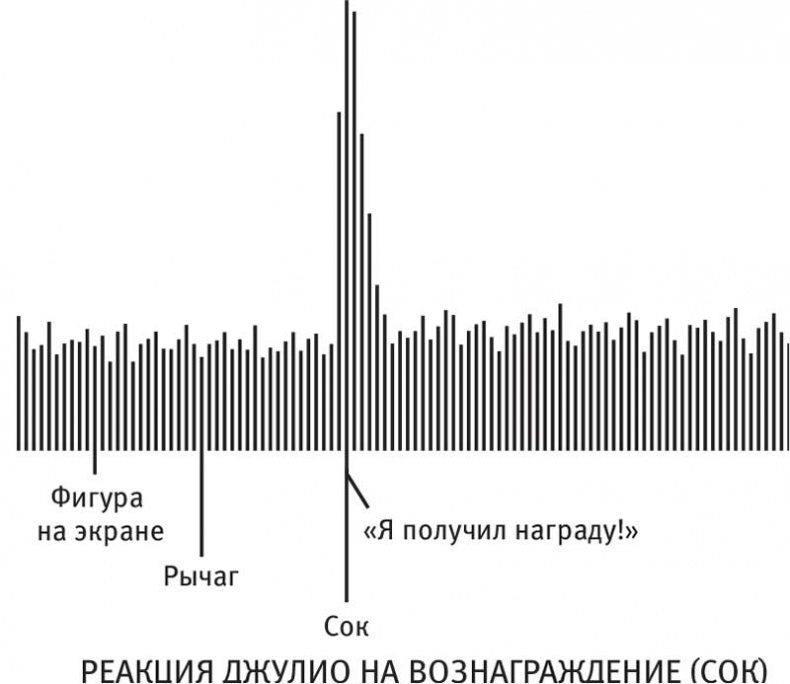 Власть привычки. Почему мы живем и работаем именно так, а не иначе