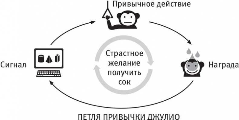 Власть привычки. Почему мы живем и работаем именно так, а не иначе