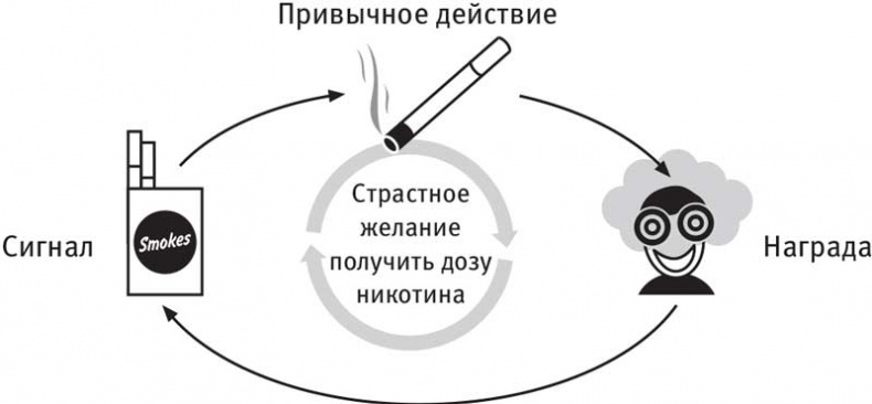 Власть привычки. Почему мы живем и работаем именно так, а не иначе