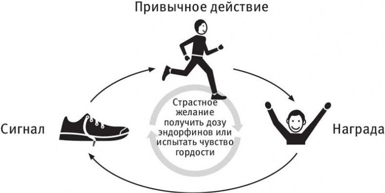 Власть привычки. Почему мы живем и работаем именно так, а не иначе