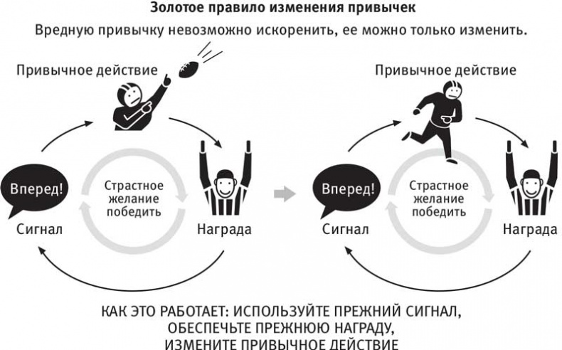 Власть привычки. Почему мы живем и работаем именно так, а не иначе