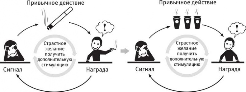 Власть привычки. Почему мы живем и работаем именно так, а не иначе