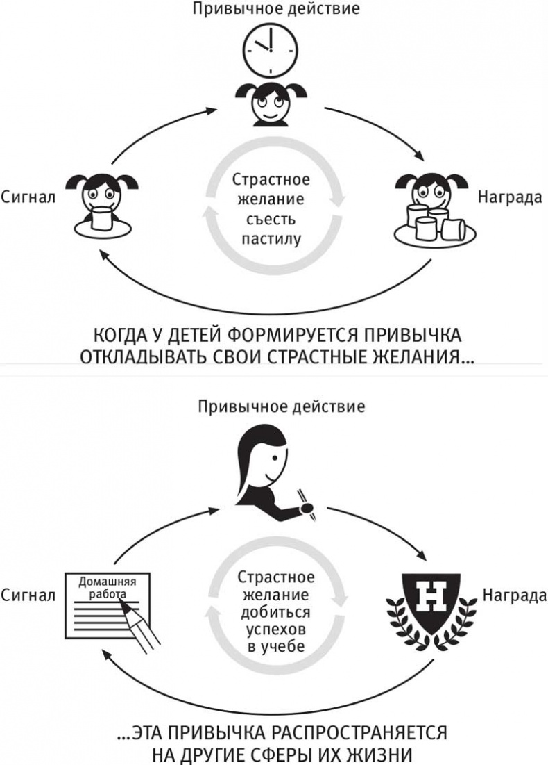 Власть привычки. Почему мы живем и работаем именно так, а не иначе