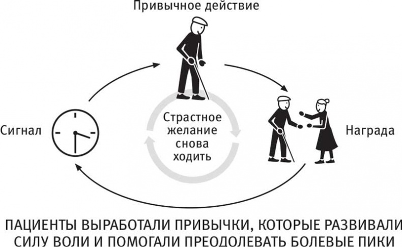 Власть привычки. Почему мы живем и работаем именно так, а не иначе