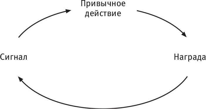 Власть привычки. Почему мы живем и работаем именно так, а не иначе