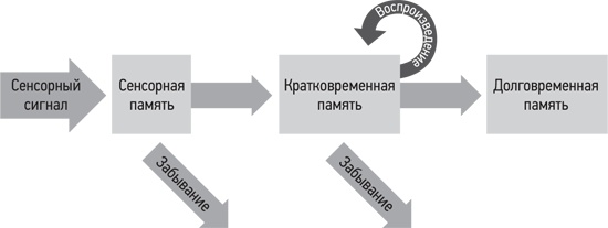 Психология. Люди, концепции, эксперименты