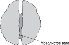 Психология. Люди, концепции, эксперименты