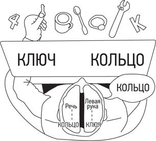 Психология. Люди, концепции, эксперименты