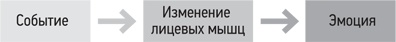 Психология. Люди, концепции, эксперименты