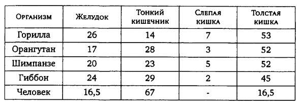 Здоровая пища - поиски идеала. Есть ли золотая середина в запутанном мире диет?