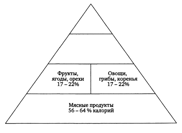 Здоровая пища - поиски идеала. Есть ли золотая середина в запутанном мире диет?