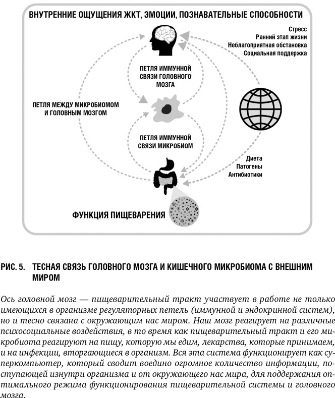 Второй мозг: Как микробы в кишечнике управляют нашим настроением, решениями и здоровьем