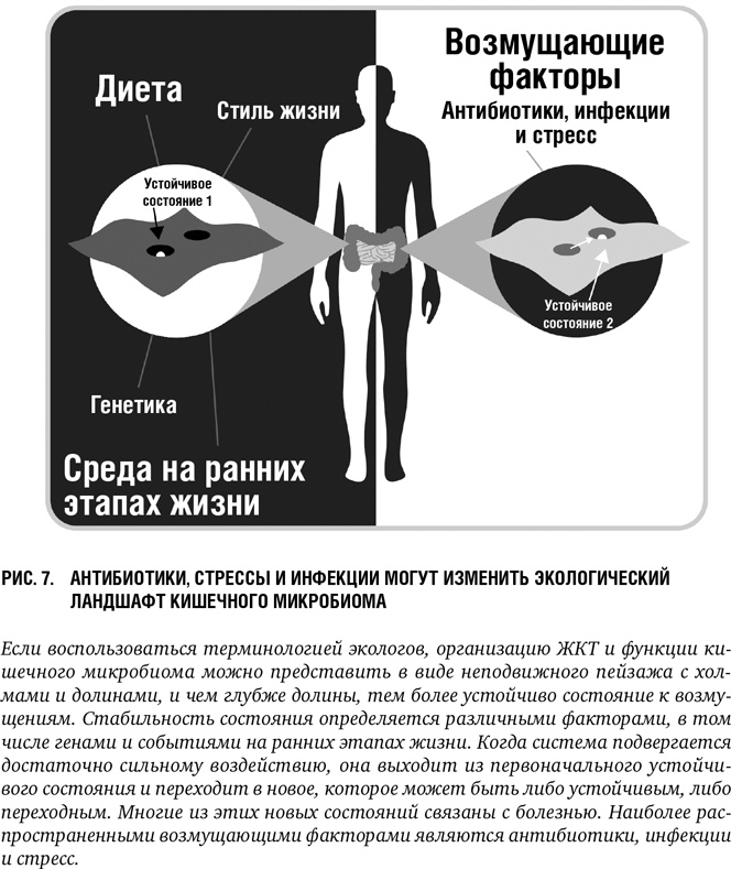 Второй мозг: Как микробы в кишечнике управляют нашим настроением, решениями и здоровьем