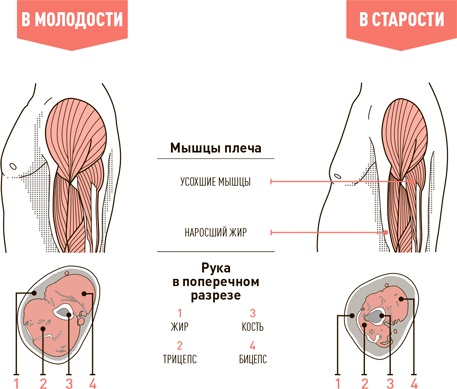 Проект Better Man. 2476 способов прокачать здоровье, форму, карьеру и секс