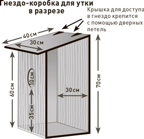 Проект Better Man. 2476 способов прокачать здоровье, форму, карьеру и секс